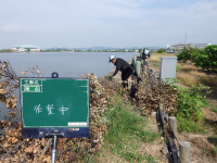 某所にて河川に堆積した樹木撤去作業を行いました！