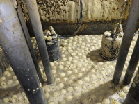 某所にて汚水中継ポンプ場の清掃作業を行いました！