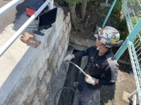 某所にて管きょ内部に侵入した木の根除去作業を行いました！