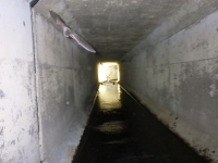 某所にて大口径下水管きょのTVカメラ調査を行いました！